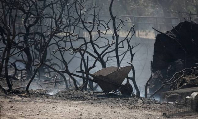 Three firemen hospitalized with burns, one house, cars destroyed in Anavyssos fire