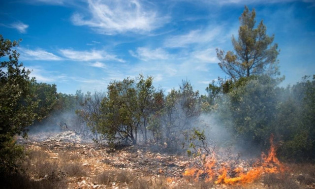 Η Ιταλία αντιμέτωπη με καύσωνα και καταστροφικές πυρκαγιές - Ένας νεκρός