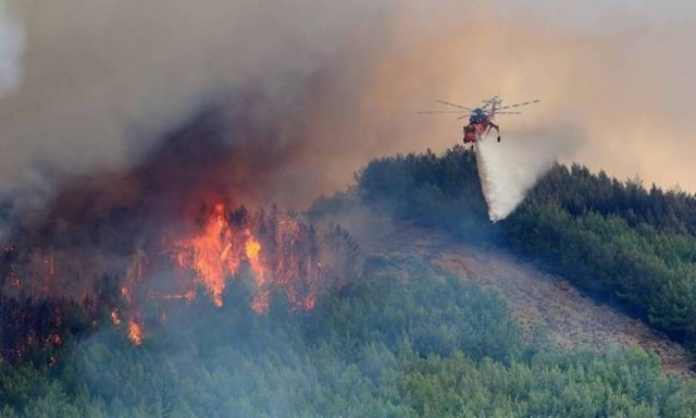 Φωτιά στην Υάμεια Μεσσηνίας