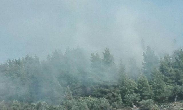 Πυρκαγιά σε δασική περιοχή στο Ποσείδι Χαλκιδικής (pics & vid)