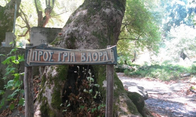 Σε εξέλιξη επιχείρηση διάσωσης νεαρής που τραυματίστηκε από πτώση στη «Γριά Βάθρα» Σαμοθράκης