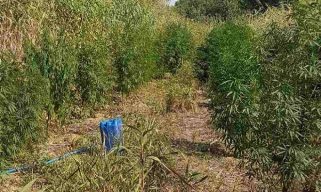 Θεσσαλονίκη: Δεν φαντάζεστε πού είχαν κρύψει ναρκωτικά