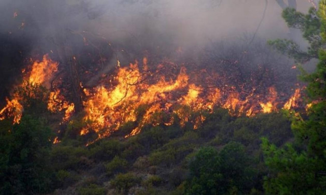 Ζάκυνθος: Μάχη των πυροσβεστών με τις φλόγες στις Μαριές - Νέο μέτωπο κοντά στο χωριό