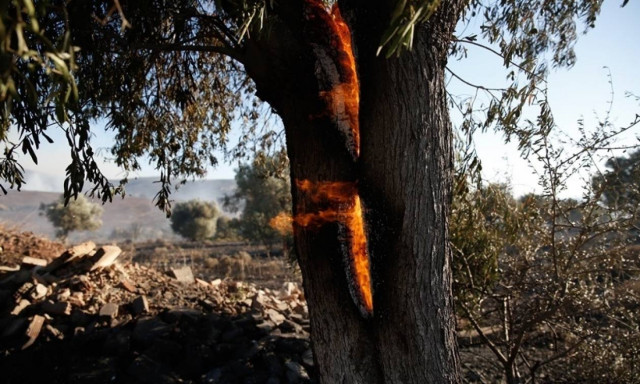 Συναγερμός στην Πυροσβεστική: Ποιες περιοχές βρίσκονται αύριο Πέμπτη σε κίνδυνο