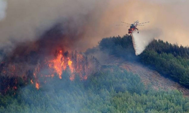 Μεγάλη φωτιά ΤΩΡΑ στα Φάρσαλα