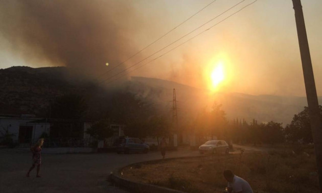 EU is helping Albania fight forest fires through Greece, says Stylianides