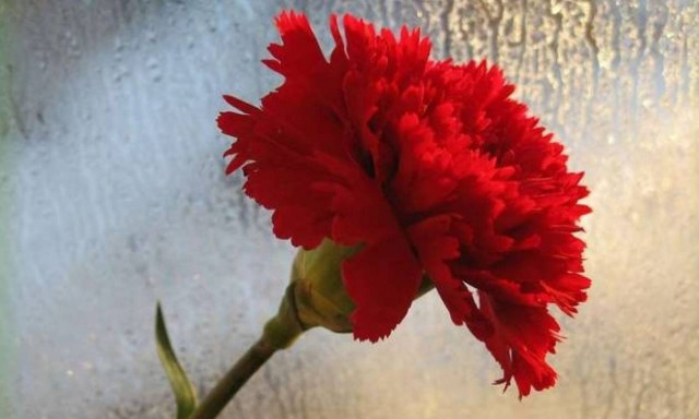 Θλίψη: Πέθανε ο Νίκος Λύτρας