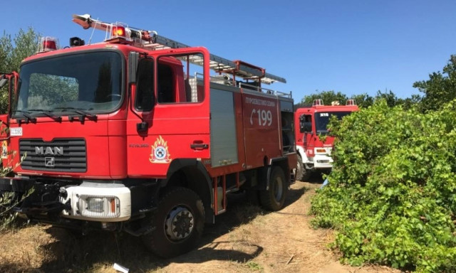 Χανιά: Φωτιά στο Βαμβακόπουλο από σπασμένο ηλεκτροφόρο καλώδιο (pics)