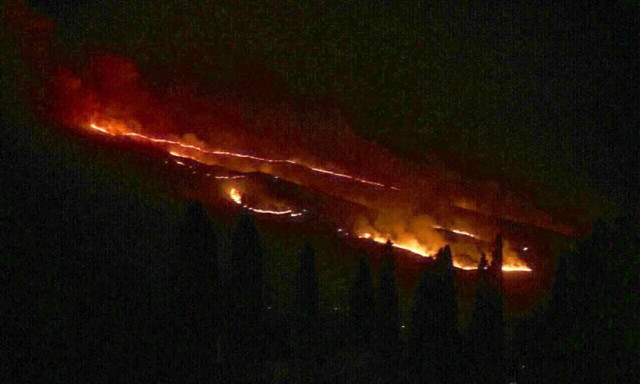 Φωτιά ΤΩΡΑ: Τρεις πυρκαγιές ξέσπασαν στην Κεφαλονιά!