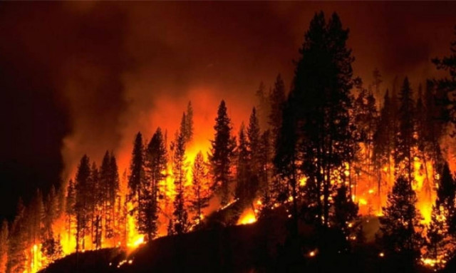 Φωτιά: Ποια είναι η κατάσταση στην Παλαιά Καβάλα