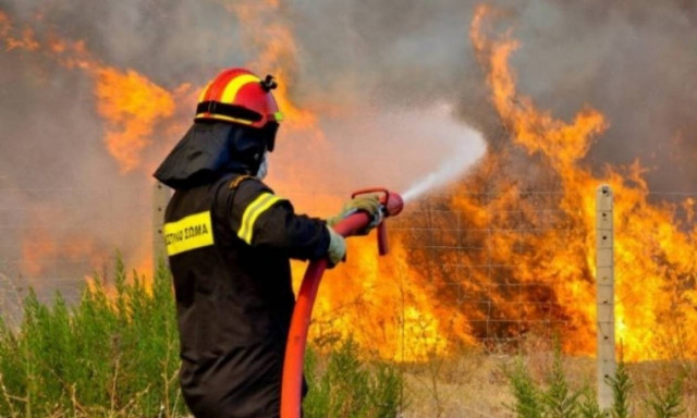 Θεσσαλονίκη: Υπό μερικό έλεγχο η φωτιά στο Μεσαίο και στο Πετρωτό