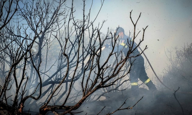 Φωτιά Ηλεία: Νύχτα αγωνίας στο Περιστέρι - Οι κάτοικοι αρνούνται να εγκαταλείψουν τα σπίτια τους