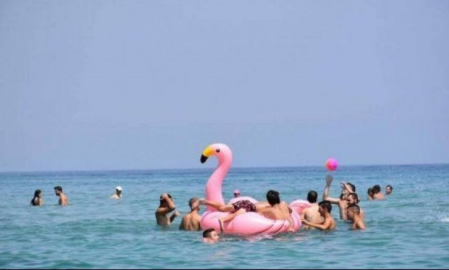 Χανιά: Περιπέτεια με... ροζ φλαμίγκο για παρέα λουόμενων