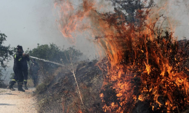 Φωτιά Κάλαμος - Μαρτυρία σοκ: «Η φωτιά θα φτάσει στον Μαραθώνα» (vid)