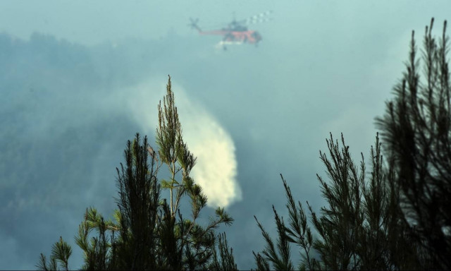 Φωτιά τώρα: Η ενημέρωση της Πυροσβεστικής για τις πυρκαγιές σε όλη την Ελλάδα