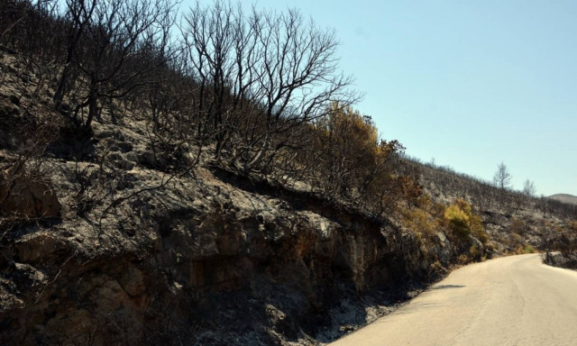 Φωτιά Ζάκυνθος: Σε Καταστάρι και Κοιλιωμένο τα επικίνδυνα μέτωπα (pics)