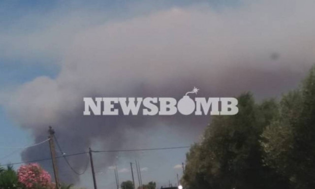 Φωτιά ΤΩΡΑ: Δύο τα πύρινα μέτωπα στην Αμαλιάδα