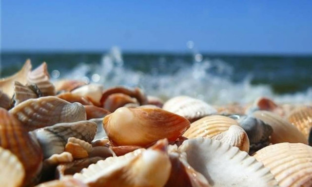 ΕΜΥ: Ο καιρός την Τετάρτη (16/8) - Αναλυτική πρόγνωση