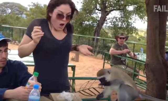 Viral: Αυτά είναι τα καλύτερα Fail βίντεο της εβδομάδας που πέρασε (Και ξαφνικά σκοτείνιασαν όλα)