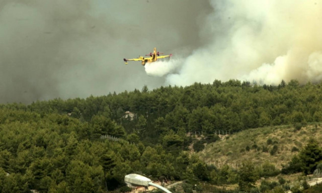 Φωτιά ΤΩΡΑ: Χωρίς ενεργό μέτωπο το Καπανδρίτι - Φόβοι για αναζωπυρώσεις λόγω των ισχυρών ανέμων