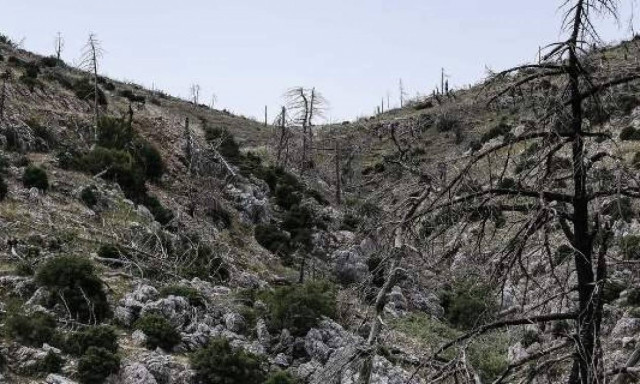 Στον ανακριτή ο 63χρονος που συνελήφθη ως ύποπτος εμπρησμού: «Μου άρεσε να ανάβω τα καντήλια» (pics)