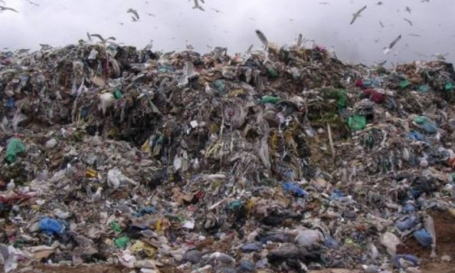 Φρίκη: Βρήκαν σε κάδο απορριμμάτων γυναικείες γάμπες