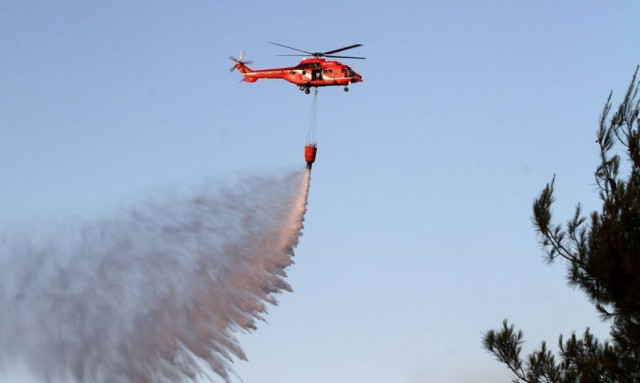Φωτιά ΤΩΡΑ: Πυρκαγιά στην Χρυσοκελλαριά Μεσσηνίας