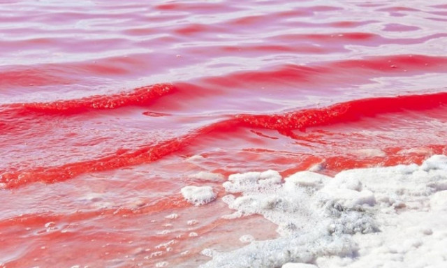 Βίντεο σοκ: Αυτή είναι η παραλία του τρόμου - Ξαφνικά η θάλασσα γέμισε με αίμα