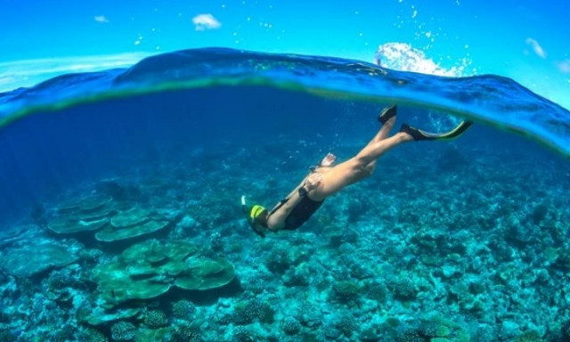 Πανελλήνιο ρεκόρ κατάδυσης με σκανδαλόπετρα - H μέθοδος των σφουγγαράδων του '60 (pics)