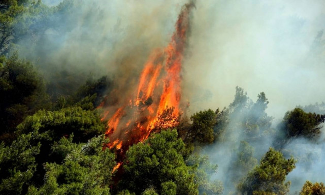 Φωτιά LIVE: Πυρκαγιά απειλεί την Καρύταινα Αρκαδίας