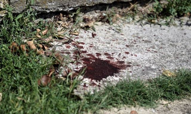 Αδελφοκτονία Τρίκαλα: Σοκαριστικές αποκαλύψεις για το άγριο έγκλημα