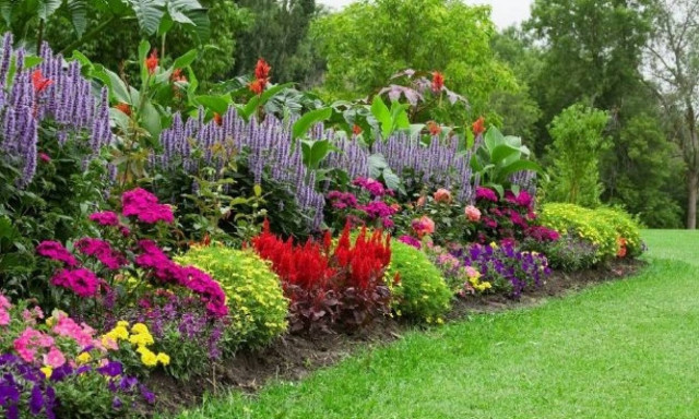 Σέρρες: Tι έκρυβε 59χρονος στην αυλή του σπιτιού του και ΚΑΝΕΙΣ δεν είχε πάρει χαμπάρι