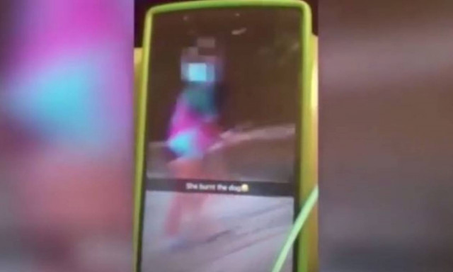 Βίντεο - σοκ: 13χρονη επιχείρησε να κάψει σκύλο με σπρέι και αναπτήρα