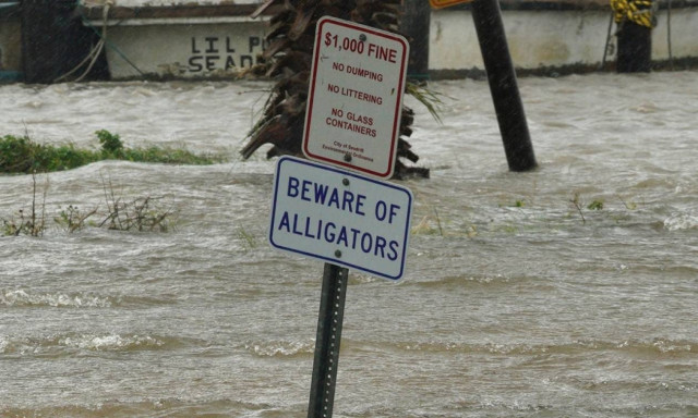 Καταιγίδα Χάρβεϊ: Αλιγάτορες «βολτάρουν» σε αυλή σπιτιού - Τουλάχιστον 20 νεκροί (pics+vid)