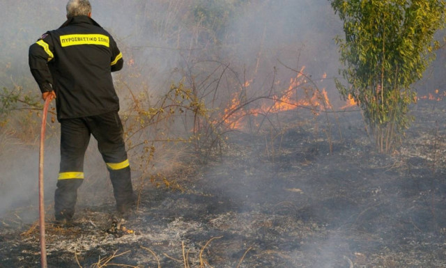 Υπό έλεγχο τέθηκε η πυρκαγιά στα Φάρσαλα