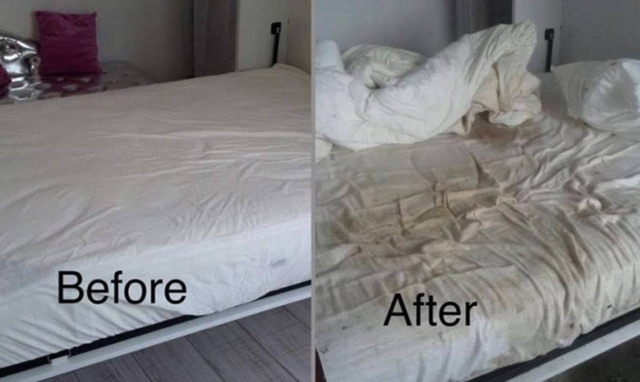 Ο νοικάρης που κανείς δεν θα ήθελε: Περιττώματα, σκουπίδια και ανυπολόγιστες ζημιές