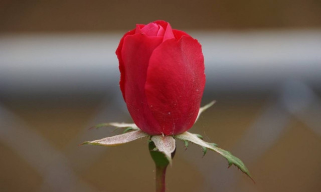 Θλίψη: Πέθανε πρώην υπουργός του ΠΑΣΟΚ