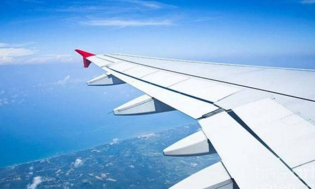 Αυτή είναι η πιο χαριτωμένη «αεροσυνοδός» που έχετε δει ποτέ (vid)