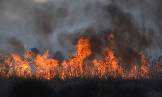 Φωτιά μαίνεται ΤΩΡΑ στη Μεγαλόπολη