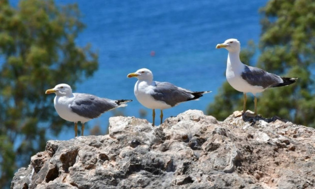 Weather forecast: Fair on Thursday (14/09/2017)