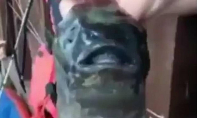 Τρόμος στη θάλασσα: Αυτό είναι το «τέρας» με δύο στόματα που έπιασαν ψαράδες (photos)