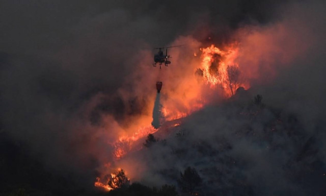 Μανιακός εμπρηστής συνελήφθη τη στιγμή που άναβε νέα φωτιά  - Ευθύνεται για τουλάχιστον 18 πυρκαγιές