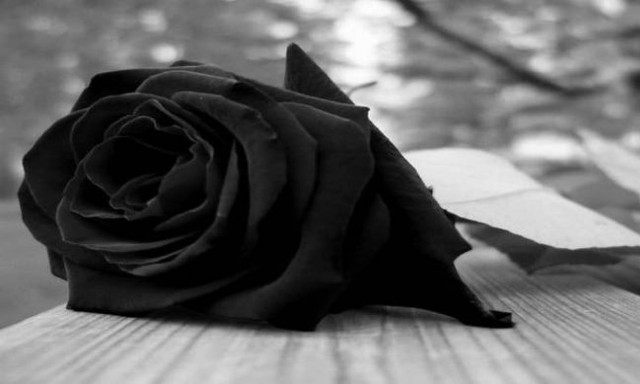 Θλίψη! Πέθανε διάσημος ηθοποιός (pics)