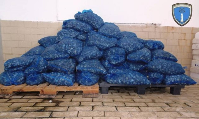 Θα γέμιζαν την αγορά με πάνω από 1.000 κιλά με ακατάλληλα όστρακα