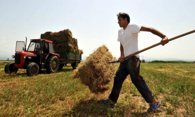 Εξόφληση αγροτών σε 60 ημέρες - Γάλα και κρέας με... ονοματεπώνυμο