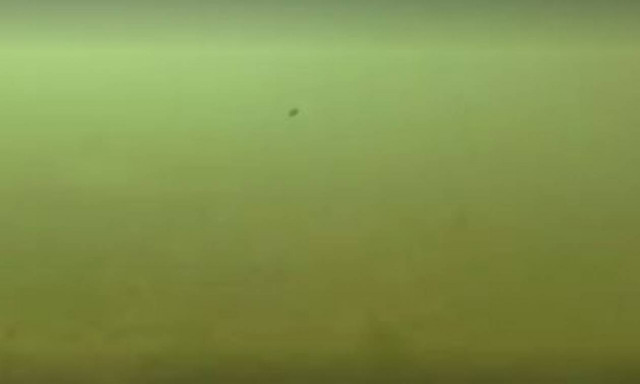 Κραυγή αγωνίας από τον δήμαρχο Γλυφάδας: Το μαζούτ κινείται ανεξέλεγκτα (vid)