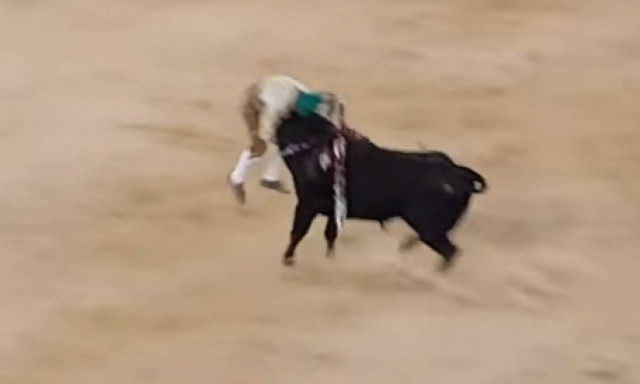 Φρικτό βίντεο: Ταύρος σκότωσε ταυρομάχο που τον προκάλεσε με γυμνά χέρια