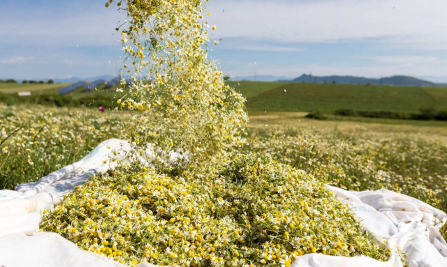 Έρχονται αλλαγές στον τρόπο κατανομής των επιδοτήσεων στους αγρότες