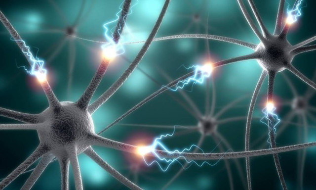 Asima Chatterjee: Αυτό είναι το σημερινό doodle της Google για τη σπουδαία χημικό (Vid)