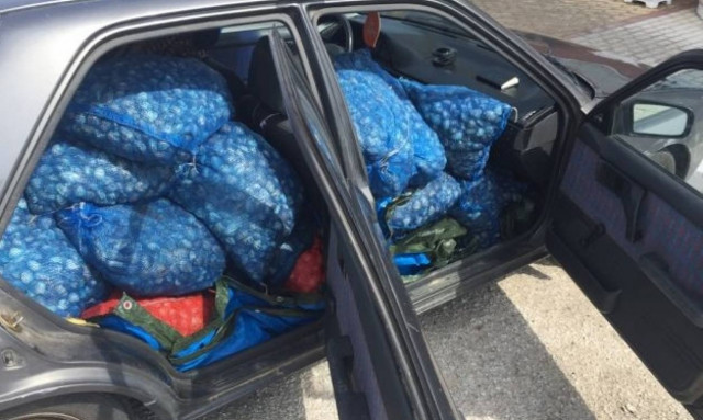 Θα έριχναν στην αγορά εκατοντάδες κιλά επικίνδυνα όστρακα (pics)